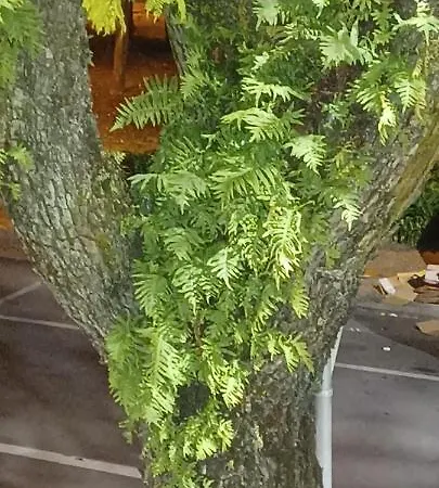 Ww & אכסניה קוימברה